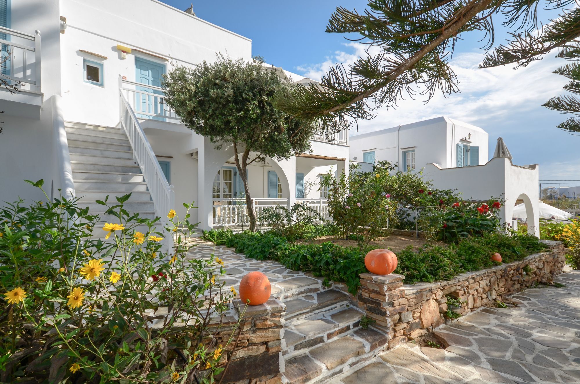 איוס פרוקופיוס Birikos Studios & Apartments מראה חיצוני תמונה